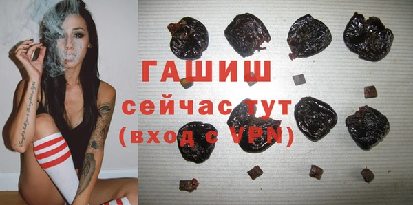 прущие грибы Елабуга