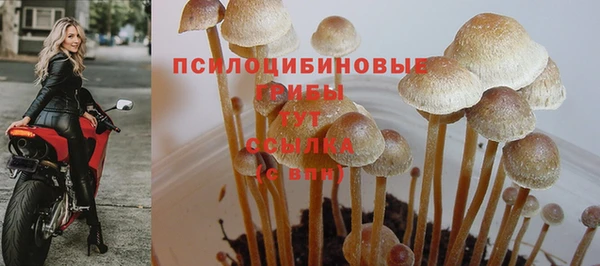 бутират Абинск