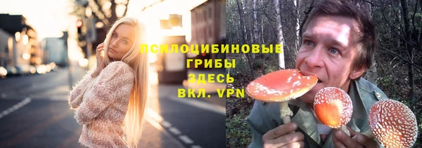 таблы Алексин