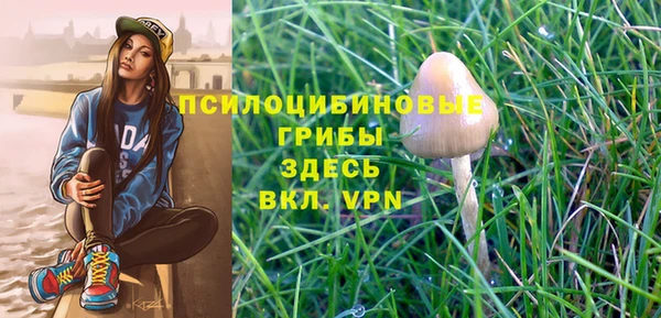 ECSTASY Абдулино