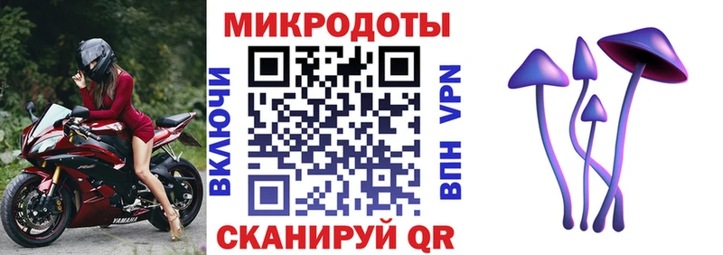 дарнет шоп  Шелехов  Псилоцибиновые грибы Cubensis 